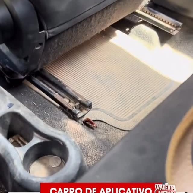 Recentemente, uma passageira registrou um momento de grande desconforto ao perceber uma barata su…